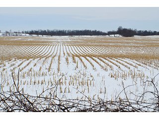 Property photo 10 - AUCTION, 206 Contiguous Acres offered in 5 Tracts